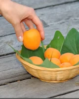 Domai - 28-Aleks-6547