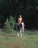 Domai - 37-DOMAI-com-70