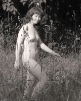 Domai - 16-Ginger-3607