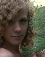 Amour Angels - 15-016