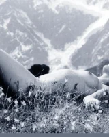 Domai - 30-2-Karenina-18